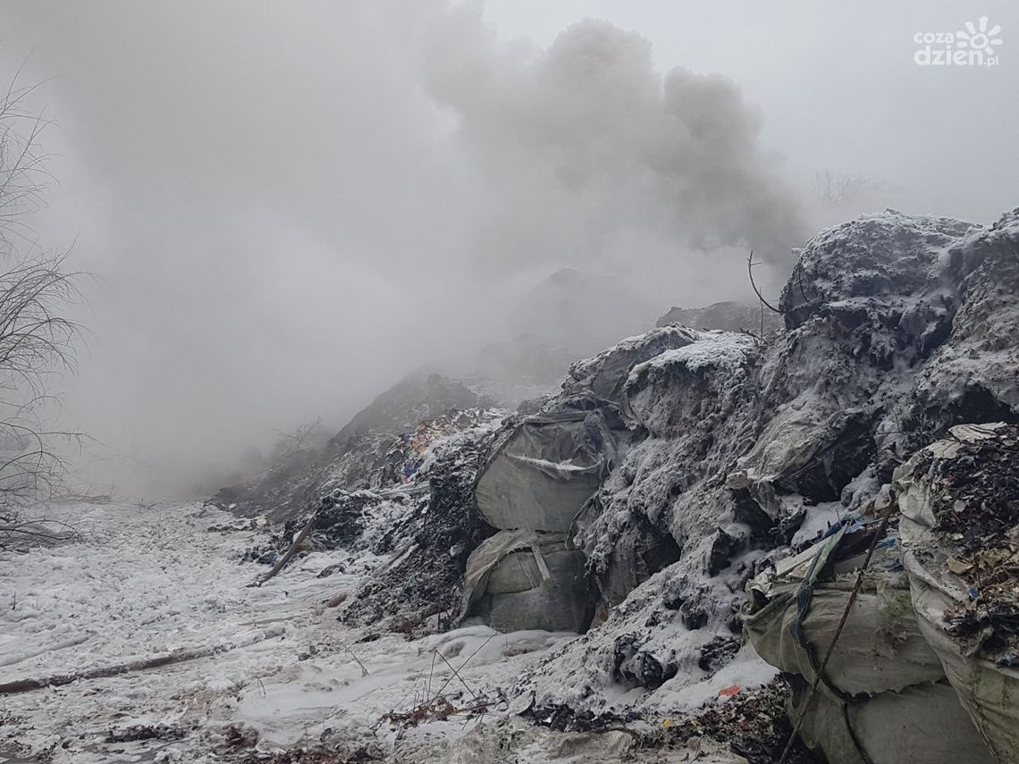 Pożar w Pionkach. Zatrzymano 45-latka