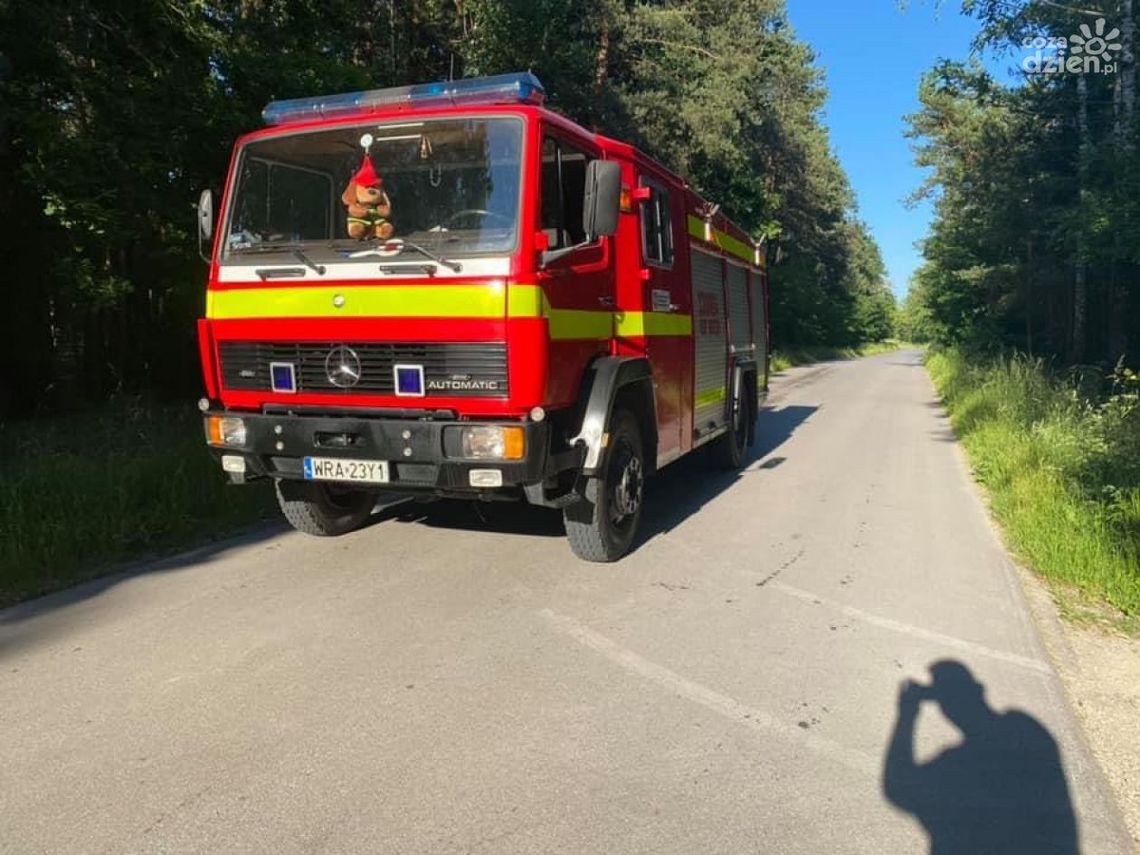Pożar we Wrzosie pod Przytykiem Pożar we Wrzosie pod Przytykiem