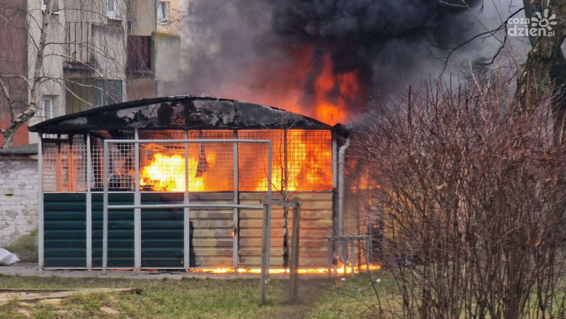 Pożar wiaty śmietnikowej na ul. Kusocińskiego Pożar wiaty śmietnikowej na ul. Kusocińskiego