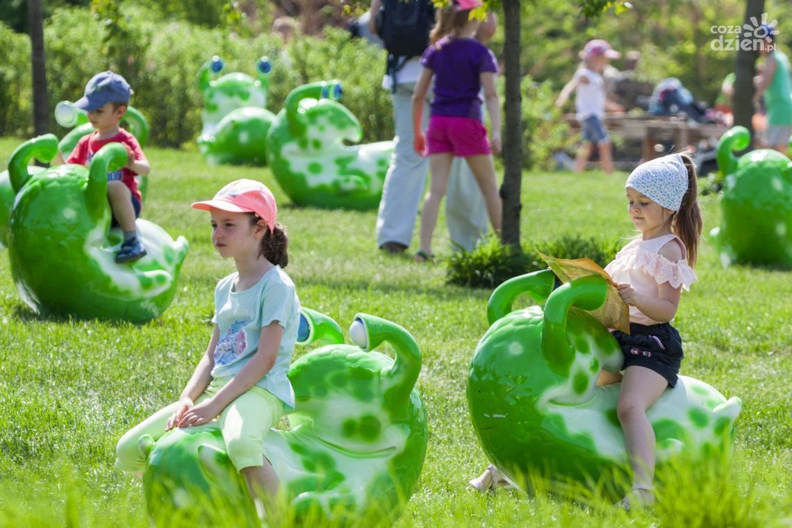 Poznaj Tajemnice Magicznych Ogrodów!