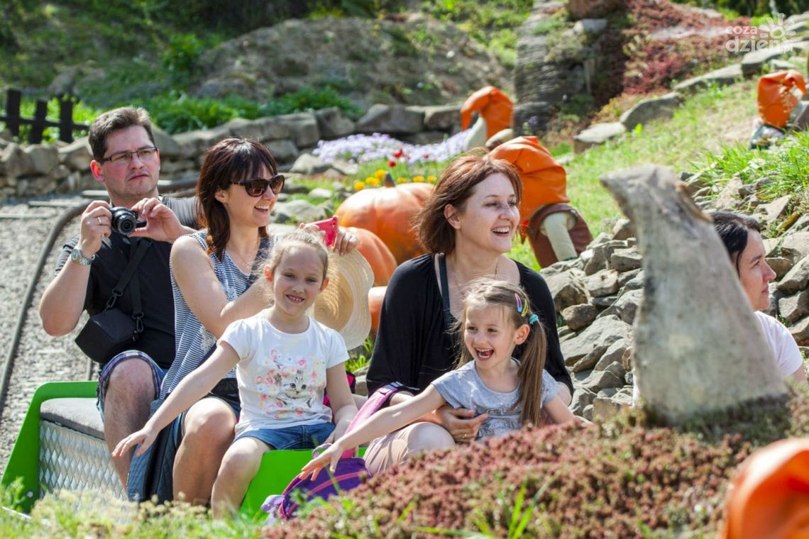 Poznaj Tajemnicę Zorana