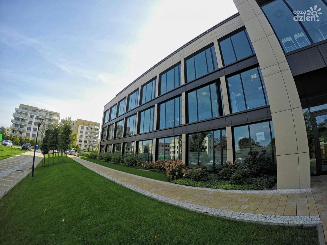 Praca w międzynarodowej firmie