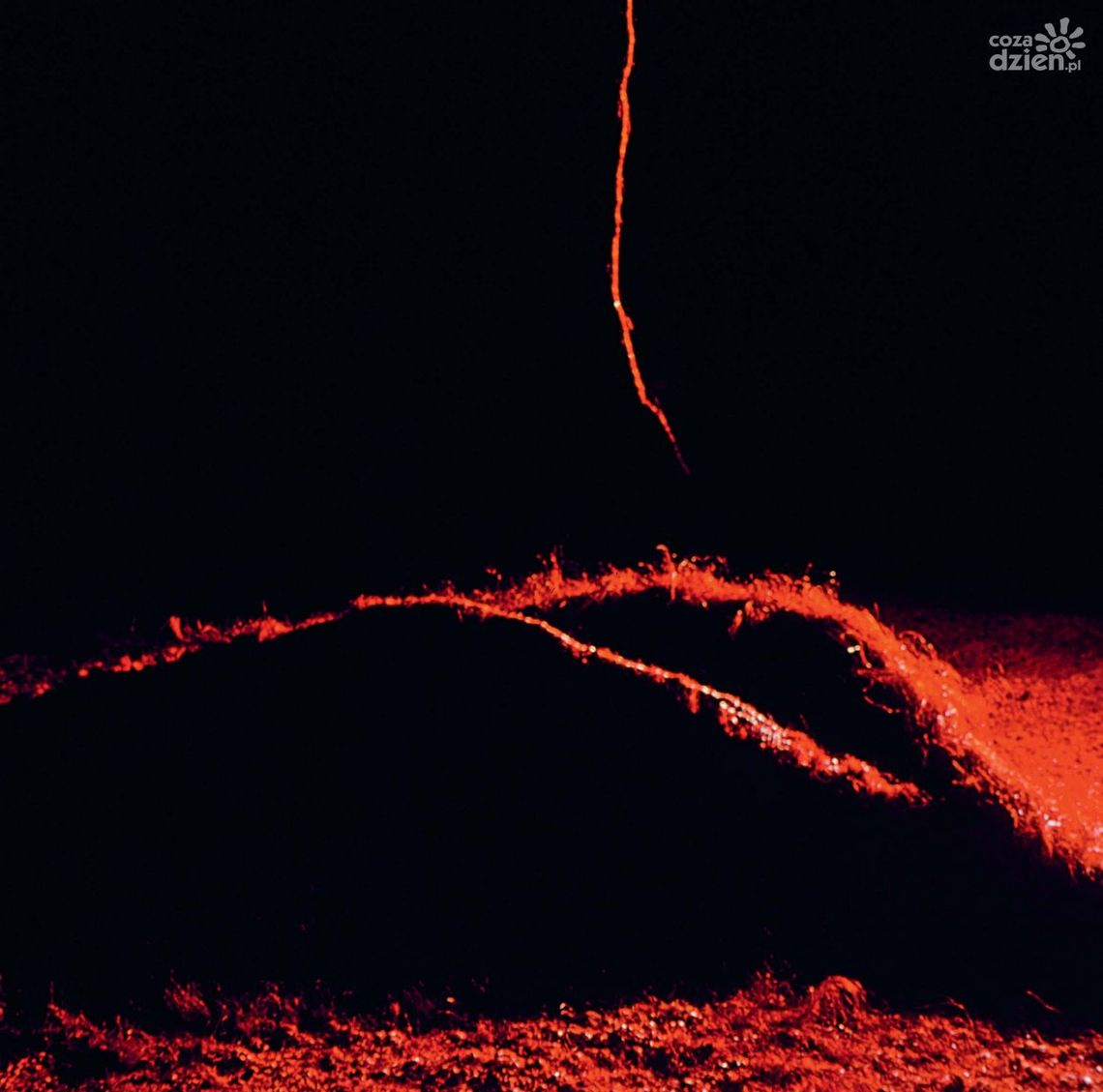 Prace Abakanowicz w Orońsku