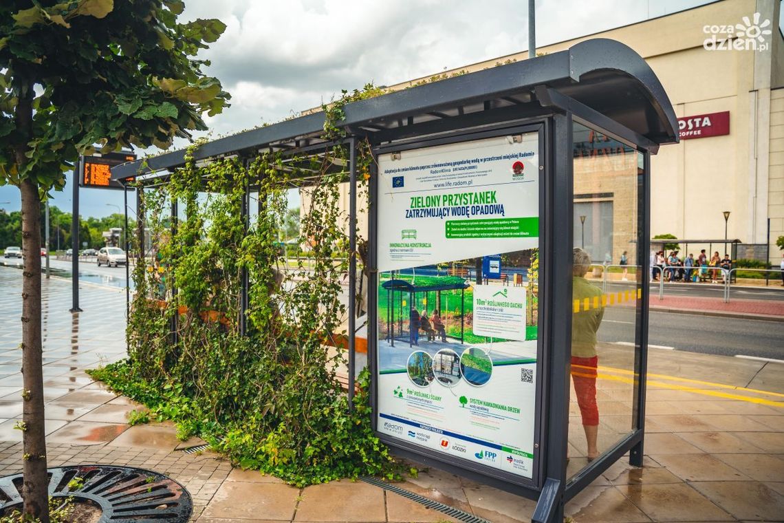 Prawie 100 aktów wandalizmu Prawie 100 aktów wandalizmu