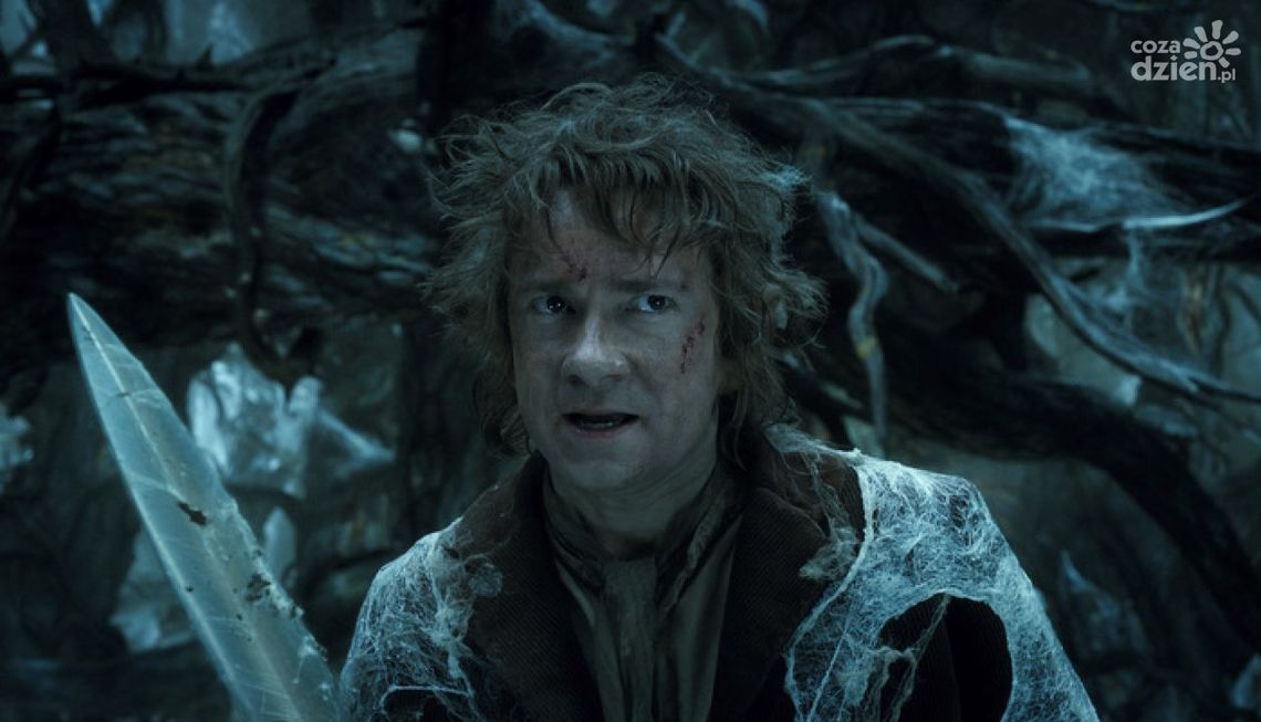 Prędko do kin! Recenzja filmu "Hobbit: Pustkowie Smauga"