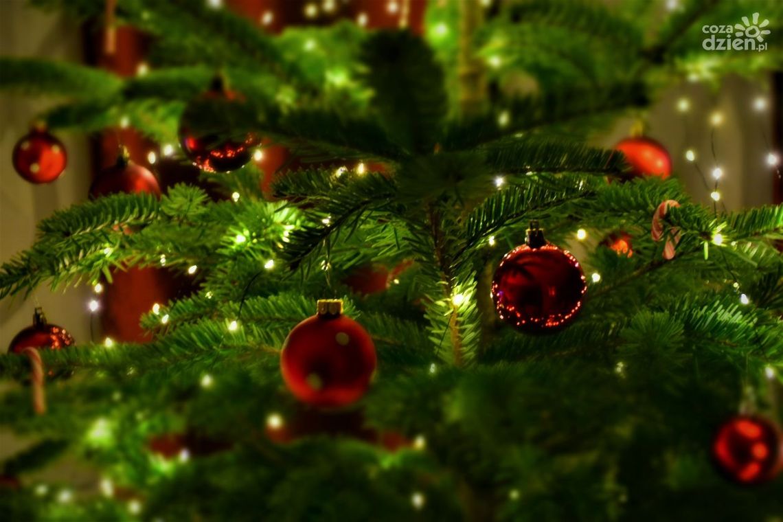 Prezent na święta w formie przeżycia — zapewnij dziecku niezapomniane wrażenia!