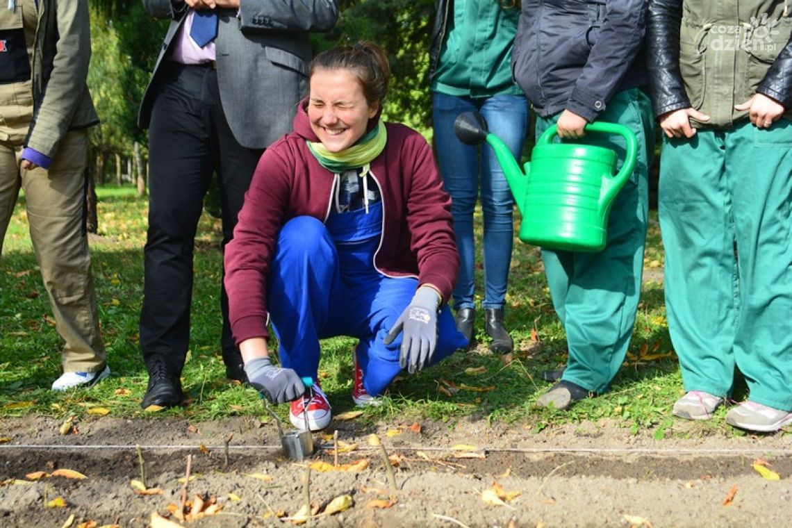 Prezydent z uczniami sadził żonkile