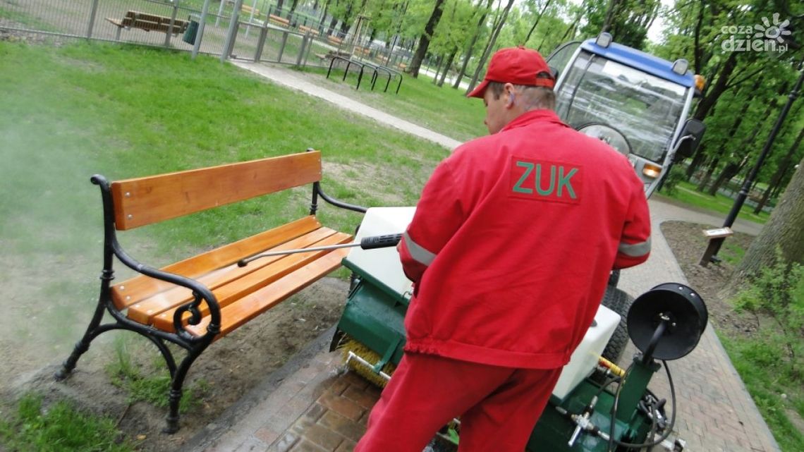 Problem ptasich odchodów w radomskich parkach