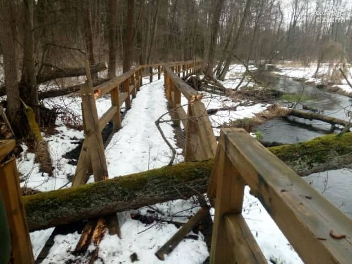 Problemy ze zwiedzaniem Królewskich Źródeł