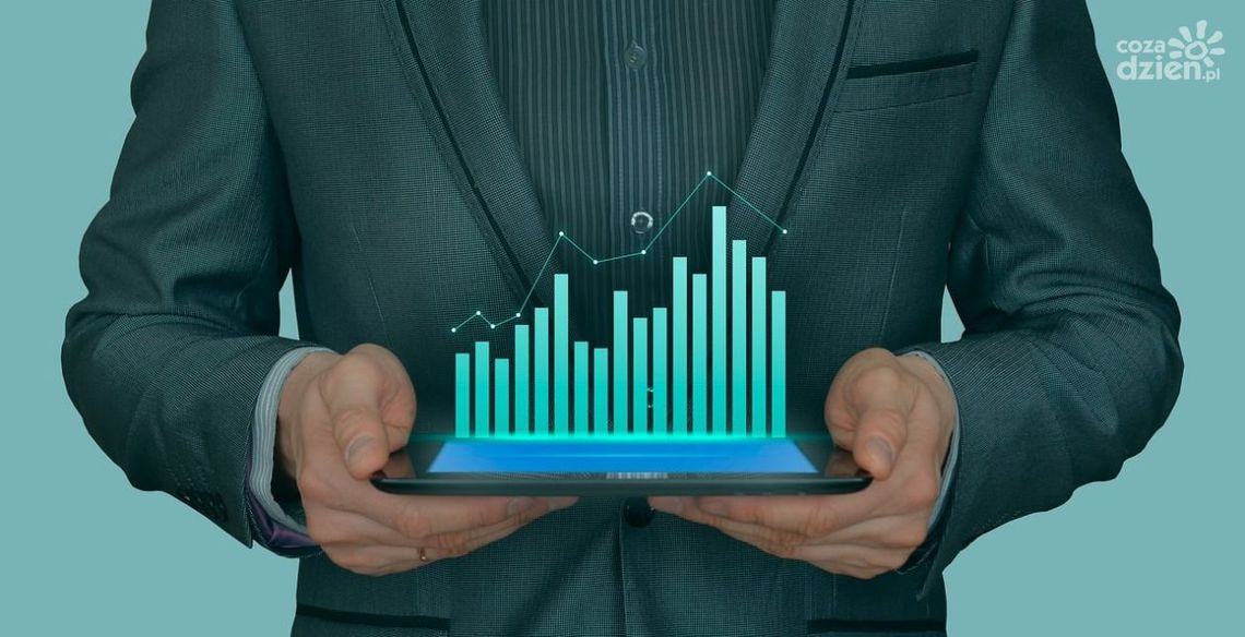 Product Designer – kim jest i na czym polega jego praca? 