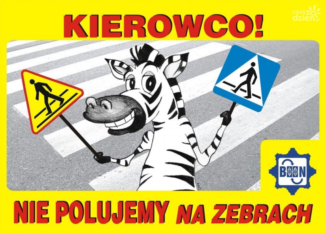 Profilaktyczna akcja Policji