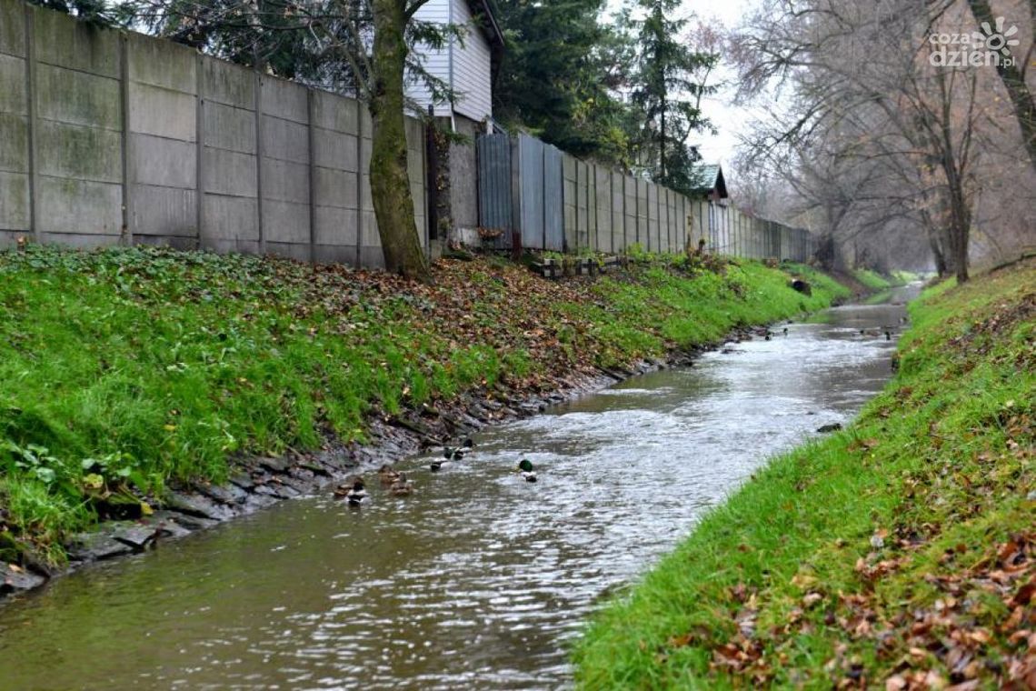 Program "Life" na konferencji w Niemczech