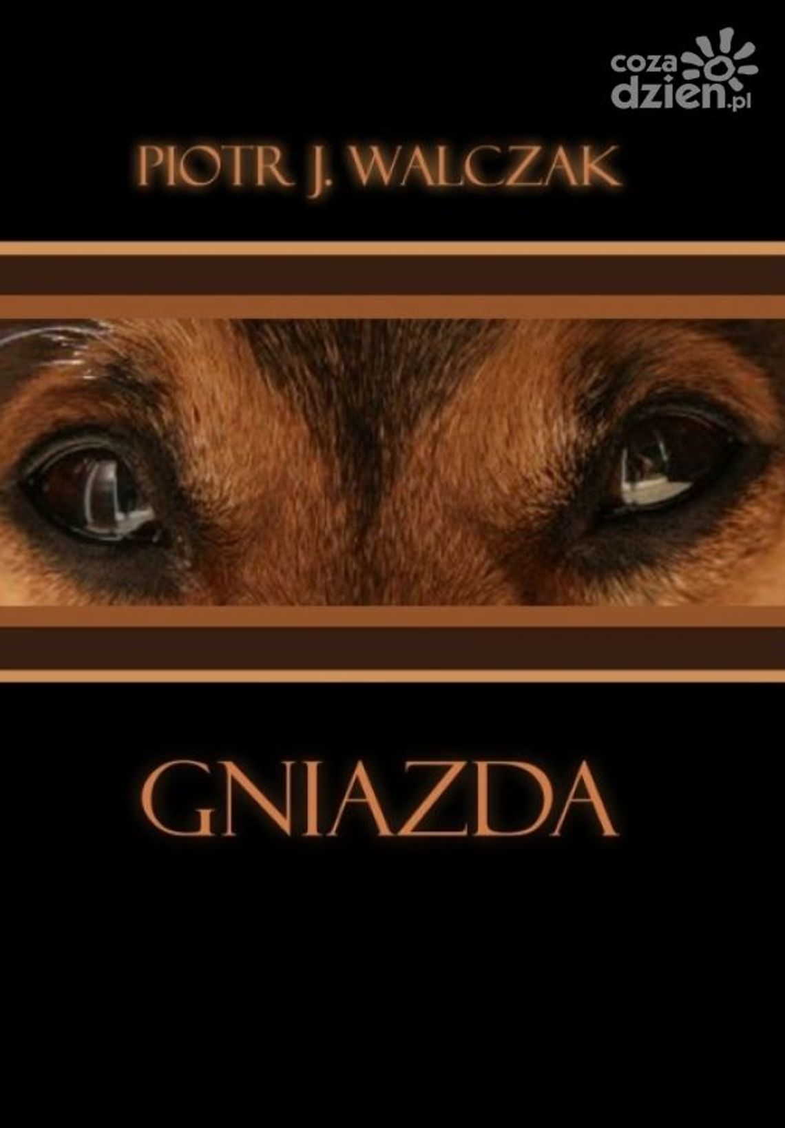 Promocja „Gniazd” Promocja „Gniazd”