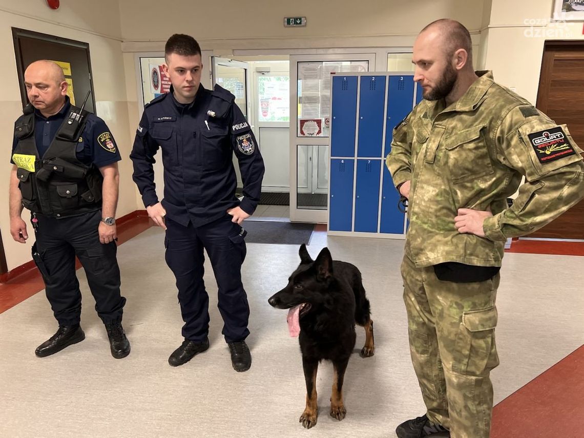 Przed maturą szukali bomb. Na wszelki wypadek