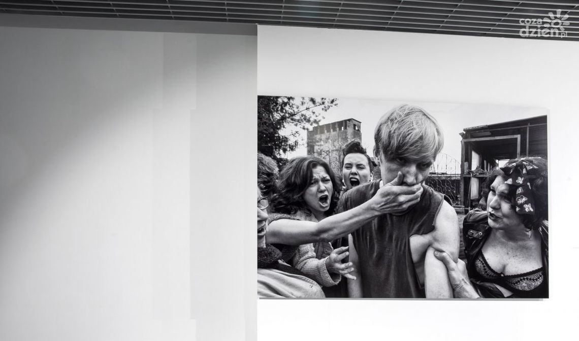 Przedłużone wystawy w Elektrowni Przedłużone wystawy w Elektrowni