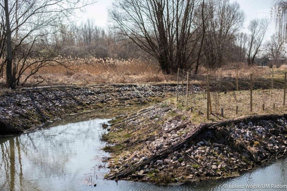 Przetarg na projekt Parku Kulturowego ogłoszony