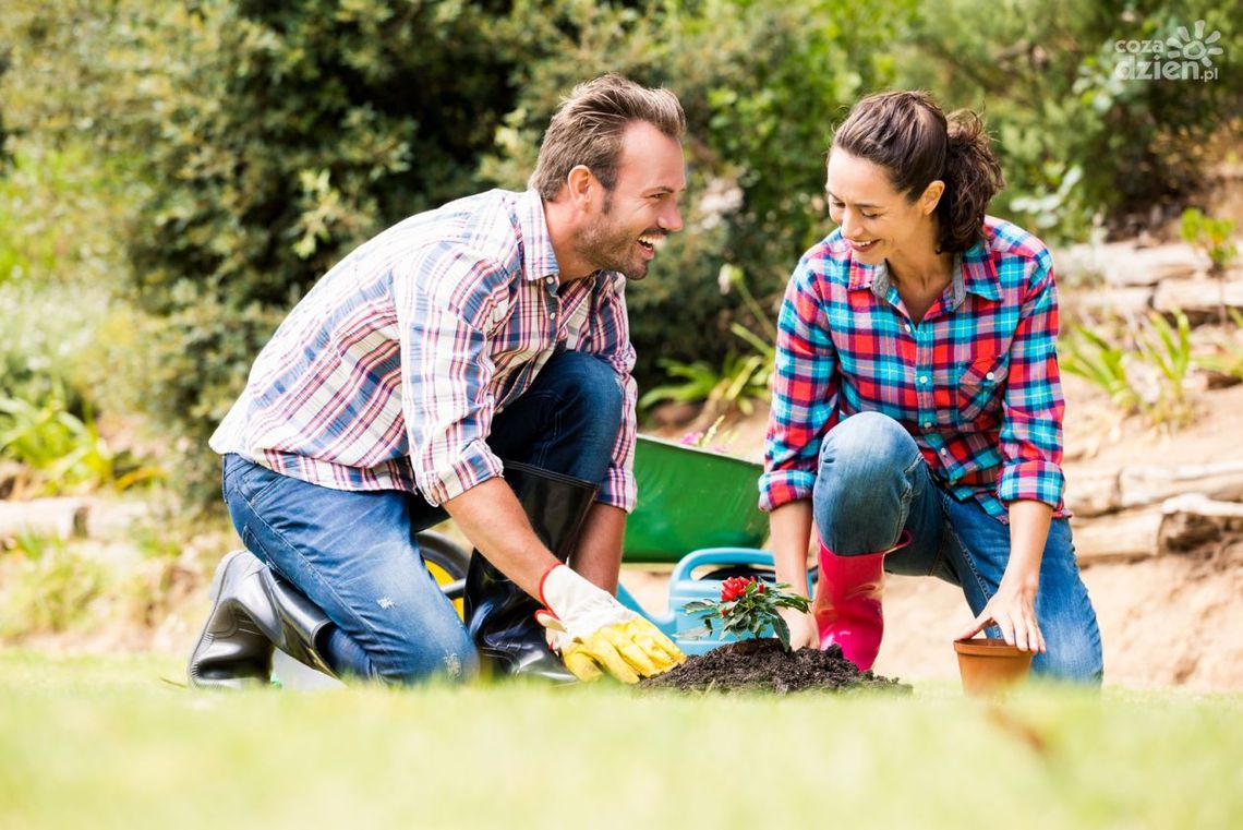 Przewodnik po środkach ochrony roślin: Co wybrać i kiedy stosować? Przewodnik po środkach ochrony roślin: Co wybrać i kiedy stosować?