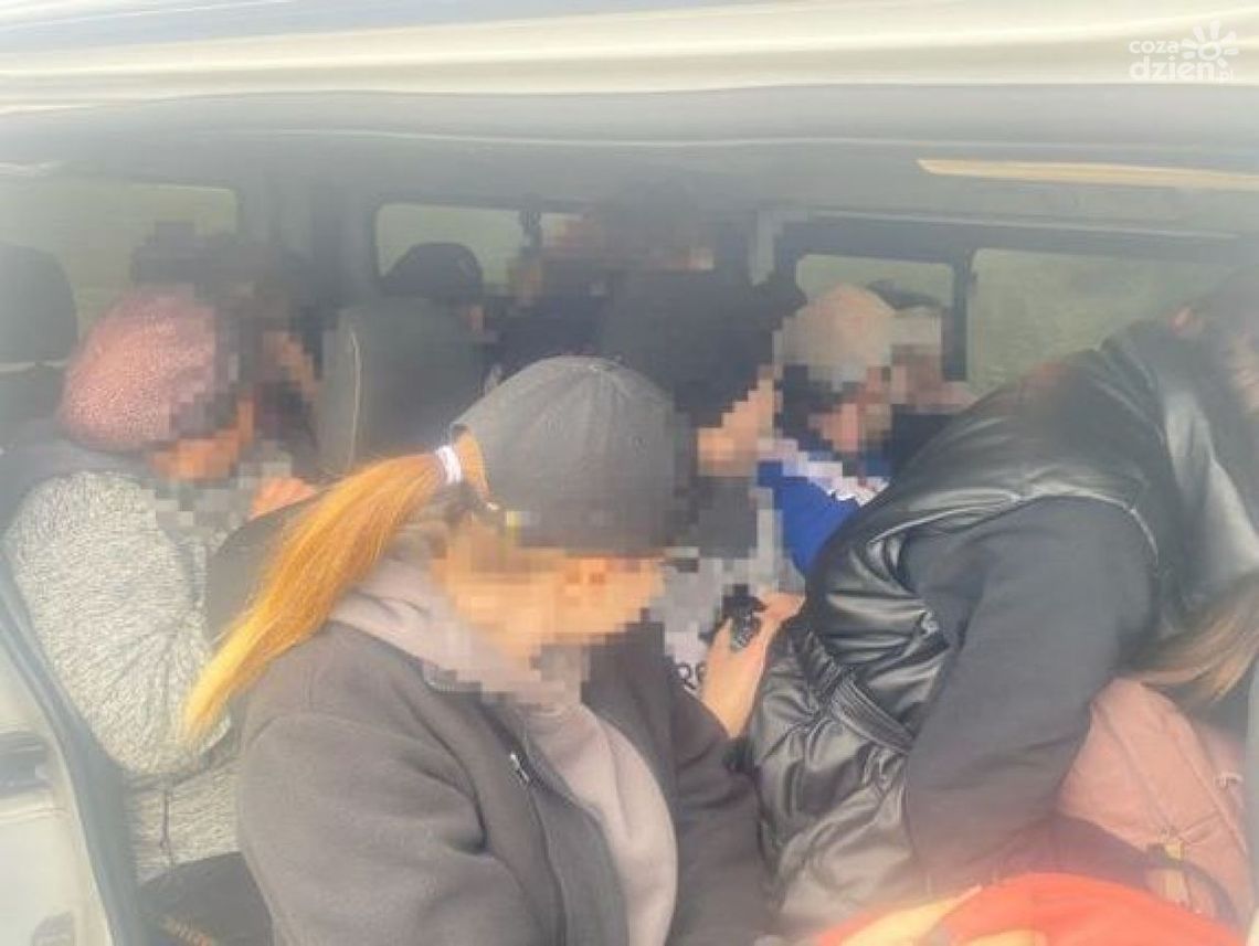Przewoził za dużo osób w busie. Kierowca stracił prawo jazdy