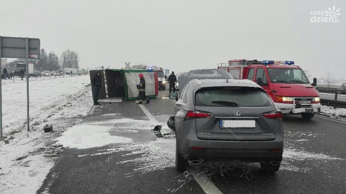 Przewoził źrebaki zderzył się z Lexusem Przewoził źrebaki zderzył się z Lexusem