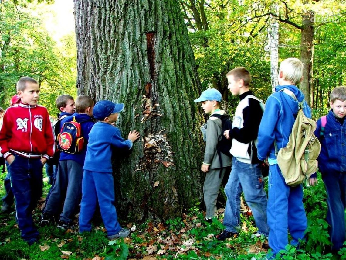 Przyjdź na majowy piknik w Marculach Przyjdź na majowy piknik w Marculach