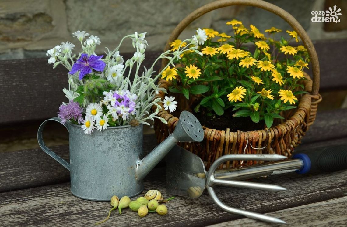 Przyjdź na obiad sąsiedzki do ogrodu