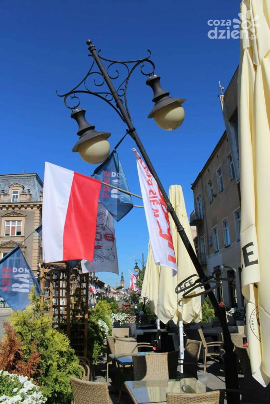Przyjechali do Radomia i zdewastowali plac Konstytucji