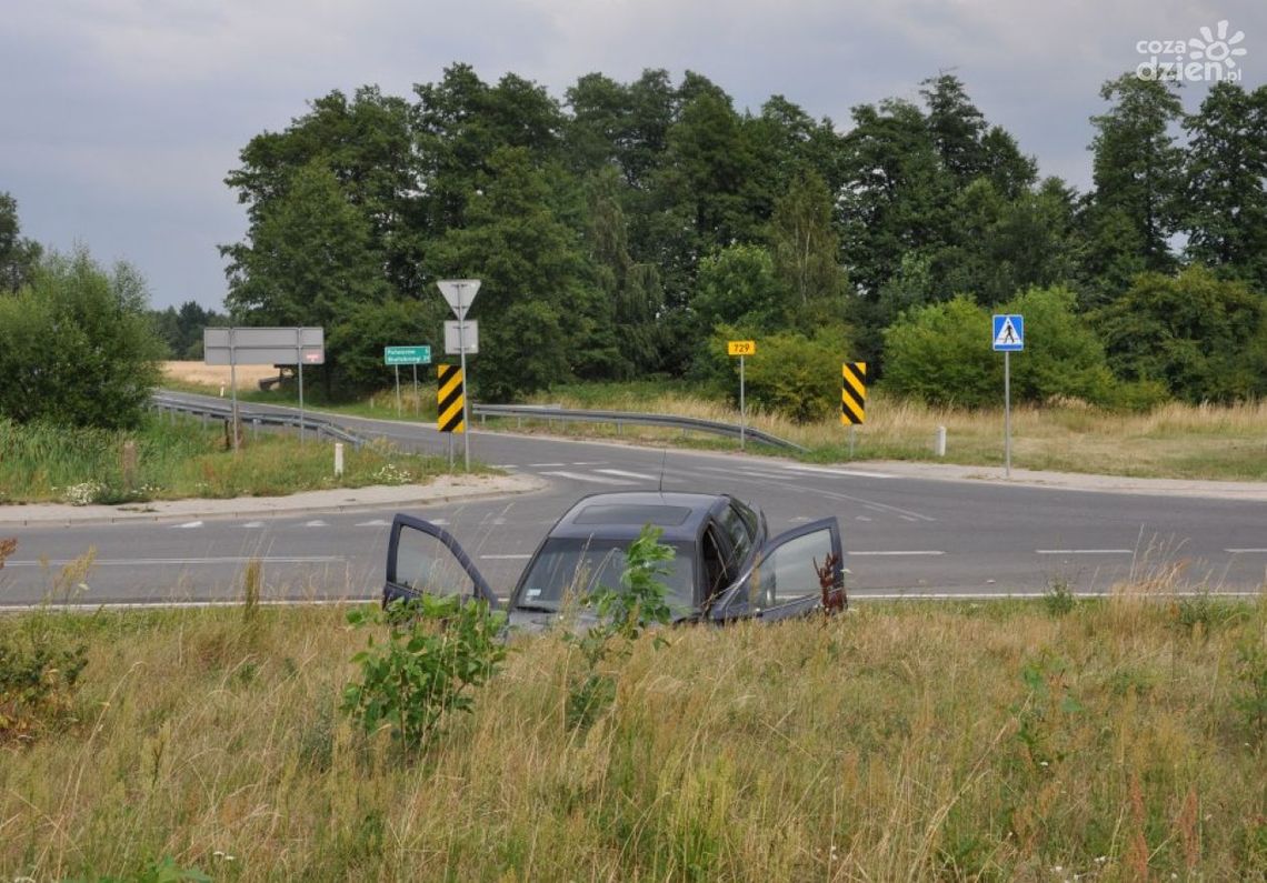 Przysucha. Miała 3 promile i wjechała do rowu