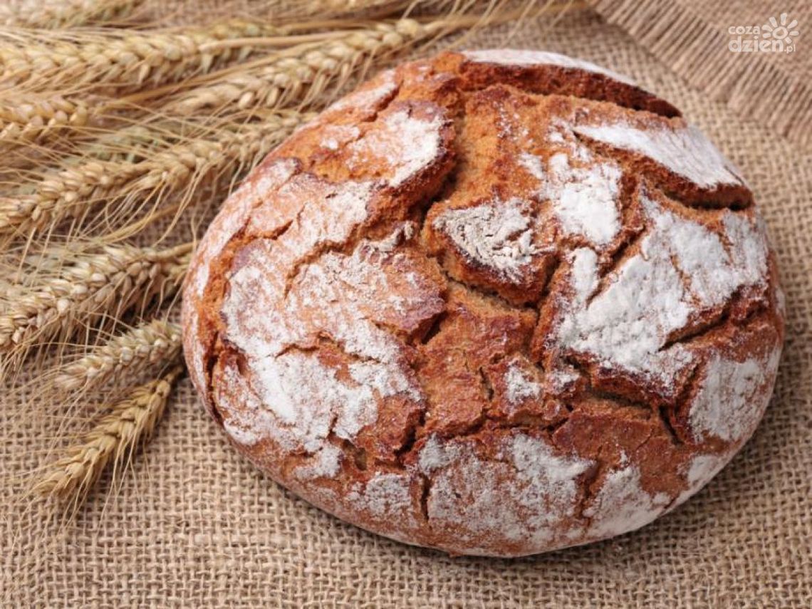 Przysucha. Znamy miejsce i termin dożynek