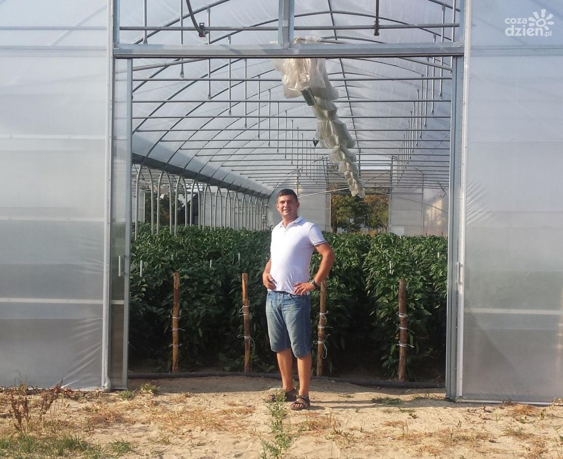 PRZYTYK: Do Szczecina za paprykę