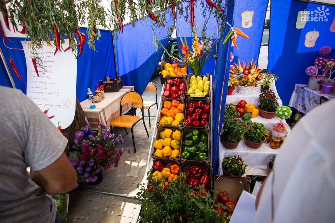 Przytyk stolicą papryki. Zakończyły się jubileuszowe targi 