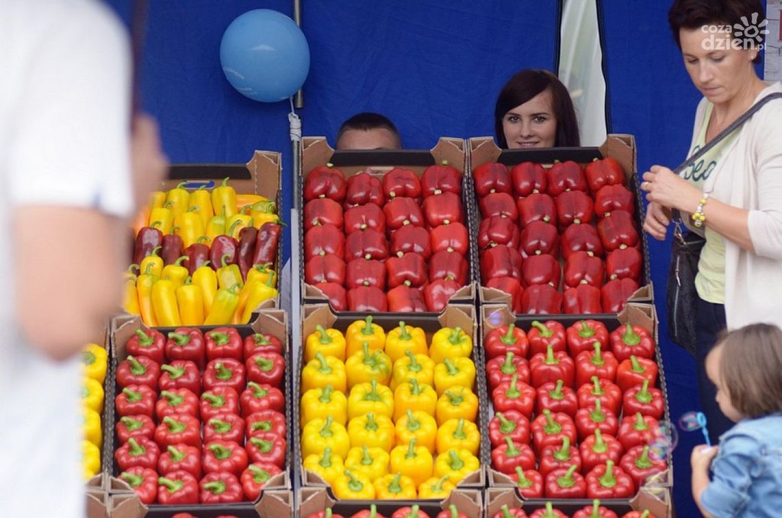 PRZYTYK. Szkolenie dla producentów papryki