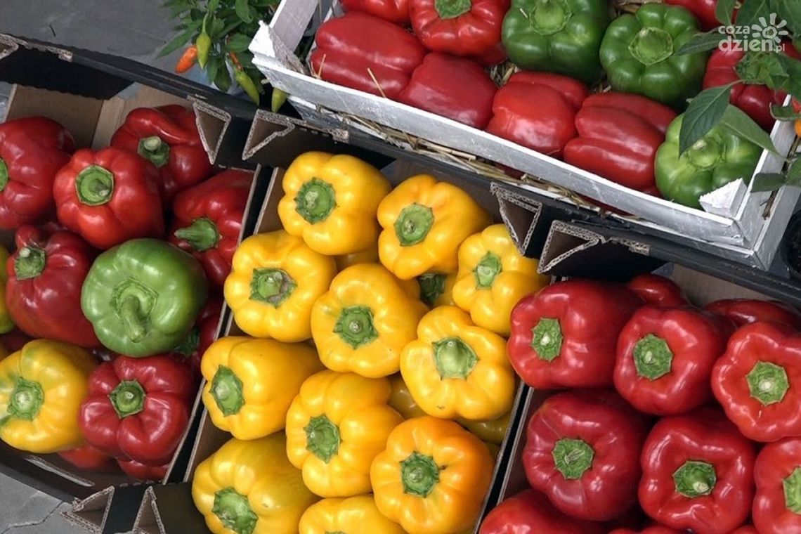 Przytyk. Szkolenie dla producentów papryki Przytyk. Szkolenie dla producentów papryki