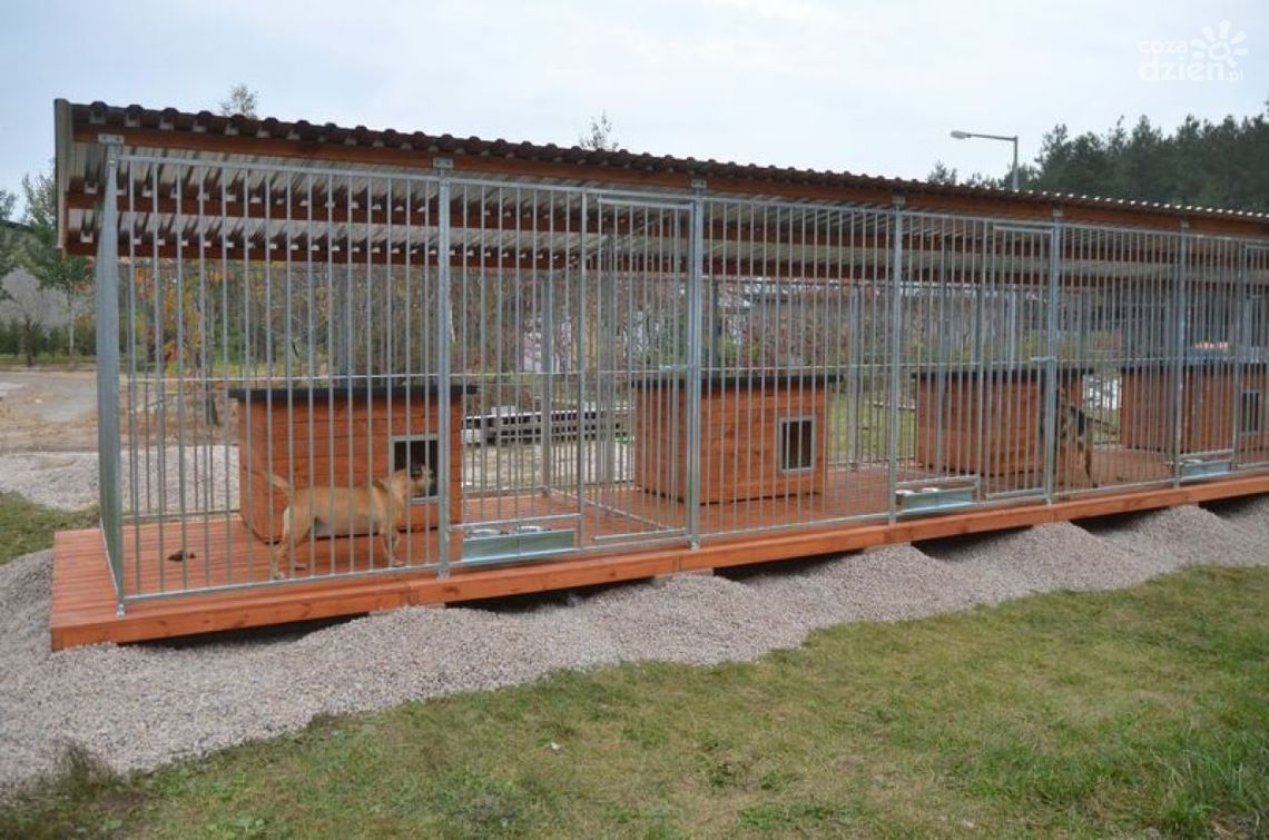 Psiaki dostały nowe boksy