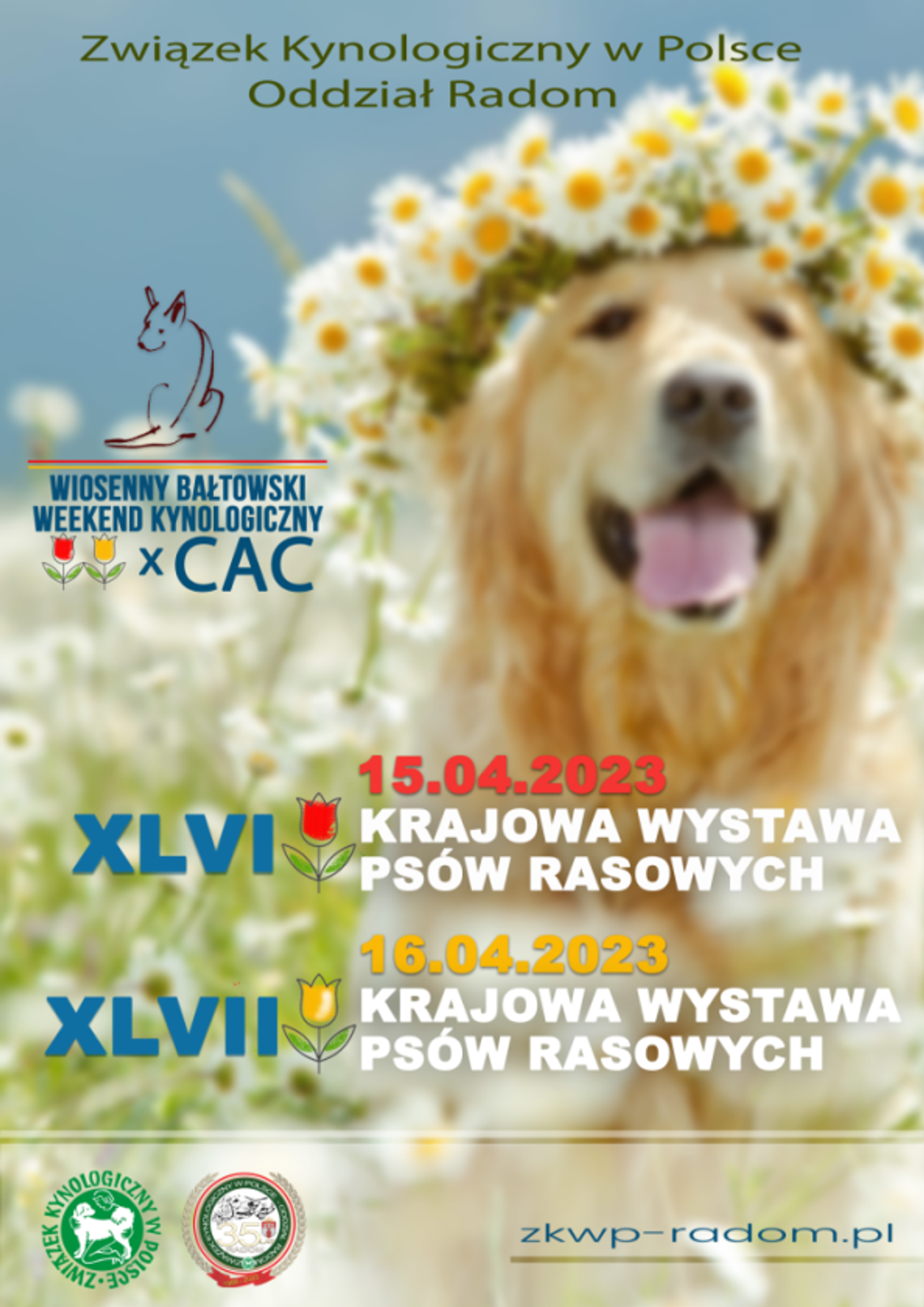 Psie piękności zaprezentują się na Wiosennym Bałtowskim Weekendzie Kynologicznym 