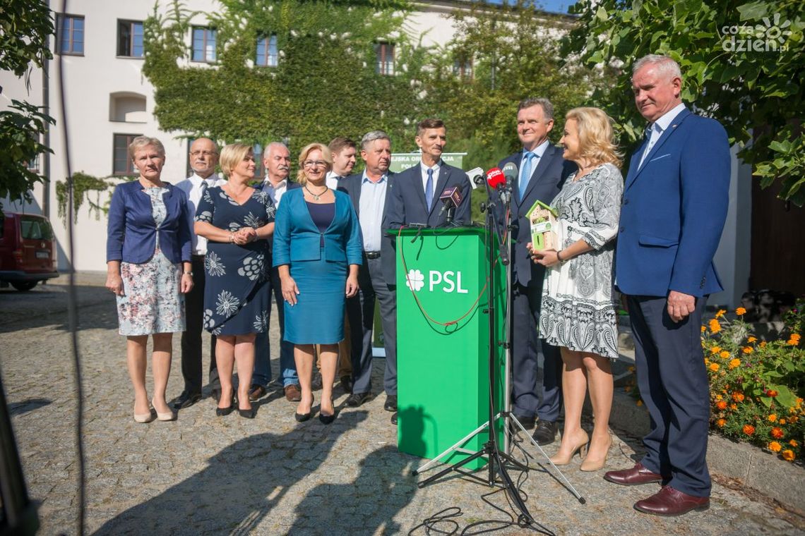 PSL gotowy do wyborów