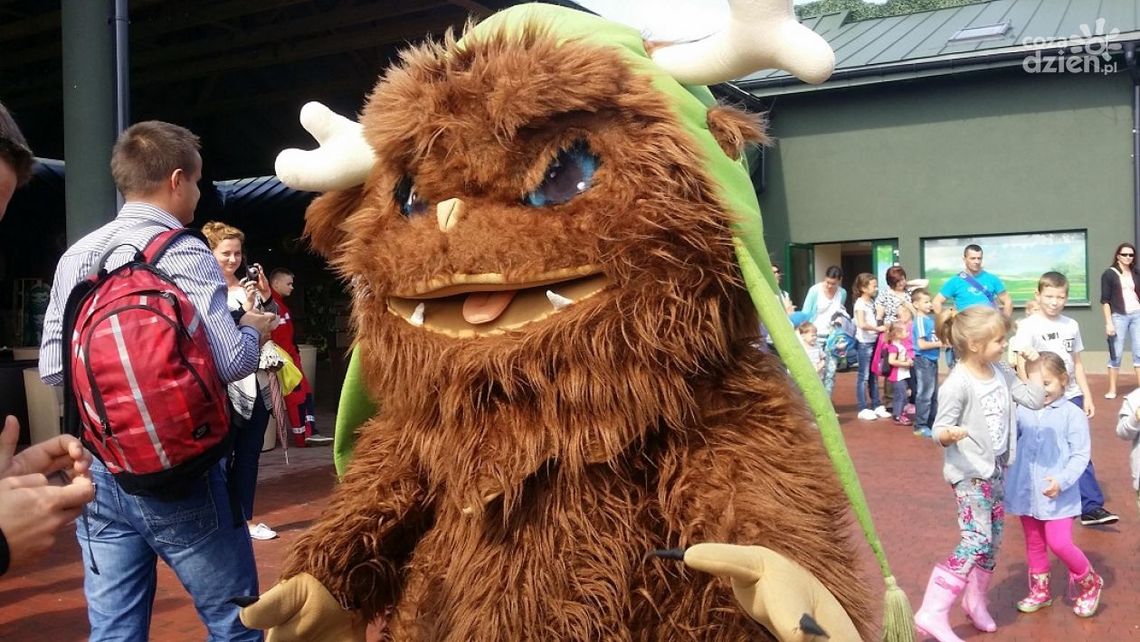 „Psoty Mordola Witka”! w Magicznych Ogrodach