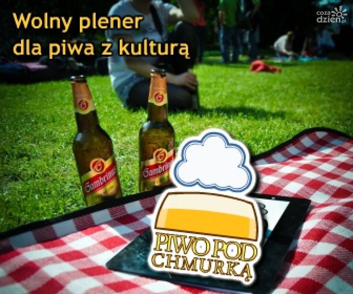 Publiczne picie alkoholu - kto za, kto przeciw?