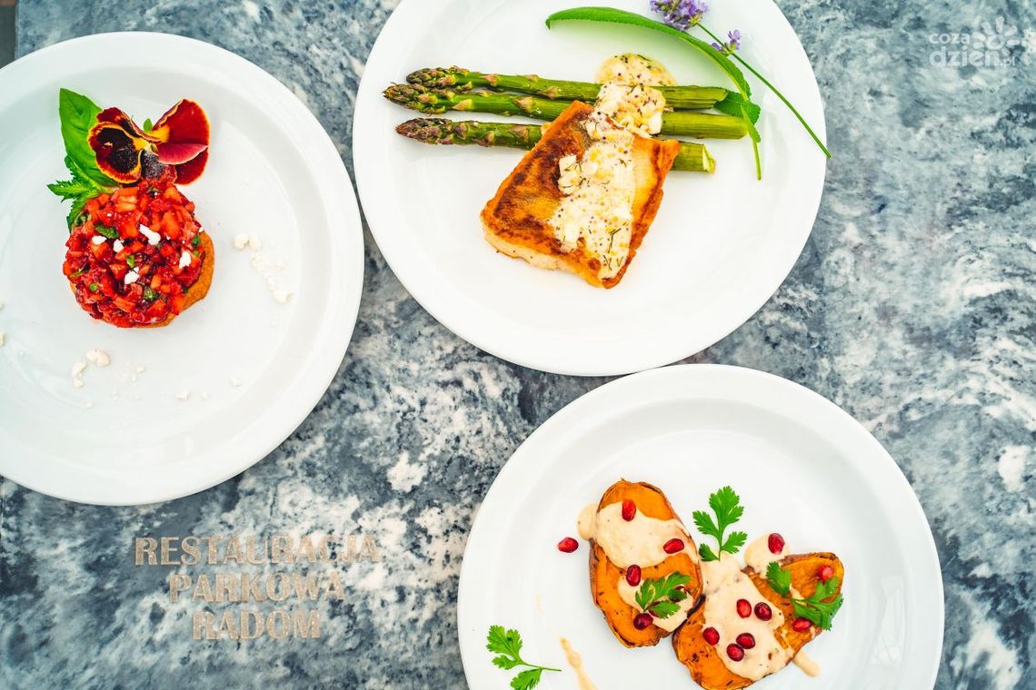 Radom Food Fest 2021. Parkowa