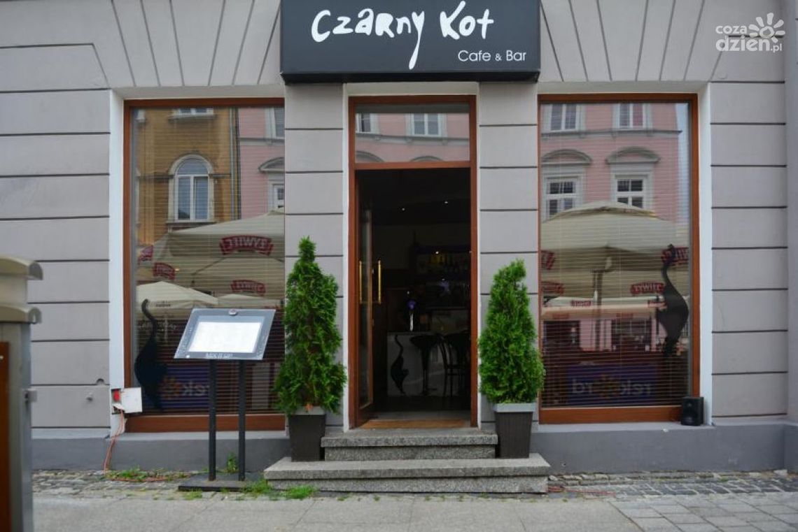 Radom Food Fest. Czarny kot