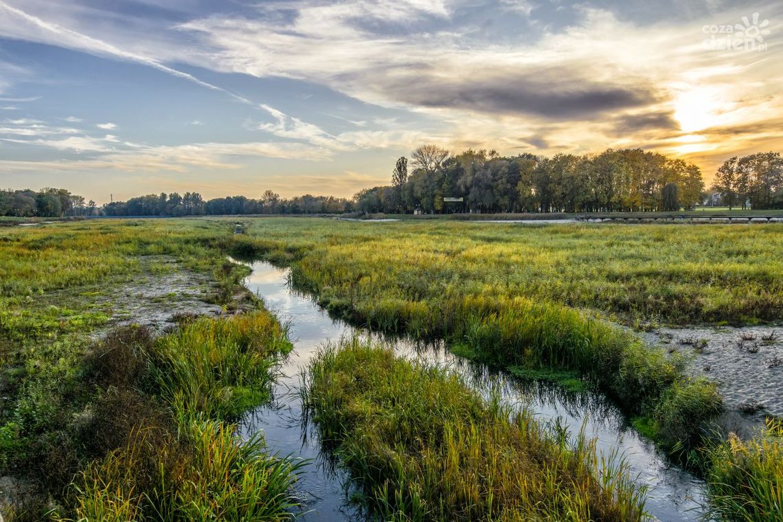 Radom jesienią malowany Radom jesienią malowany