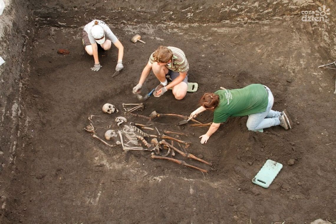 „Radom. Korzenie miasta i regionu” - w piątek promocja! „Radom. Korzenie miasta i regionu” - w piątek promocja!