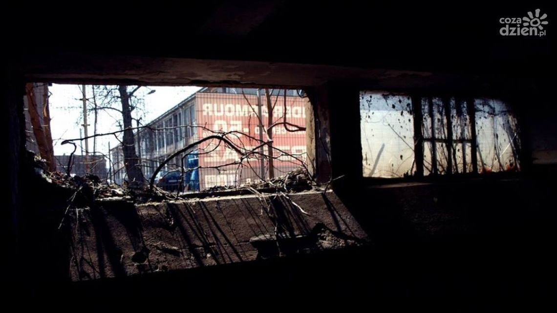 Radom miastem filmowców? To możliwe!