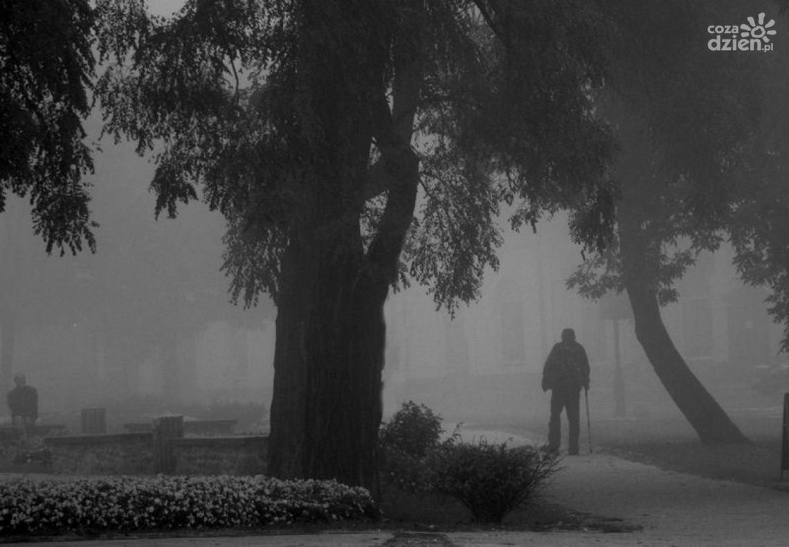 Radom oczami fotografów Radom oczami fotografów