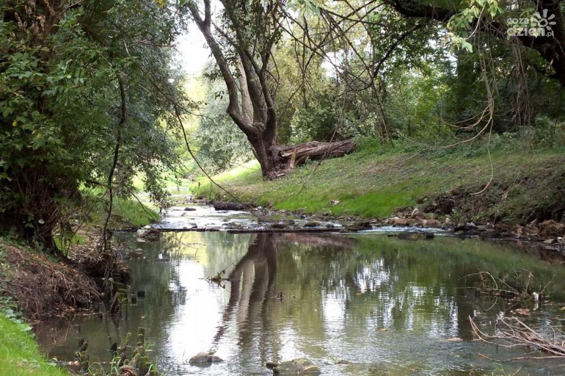 Radom. Tereny zagrożone podtopieniami