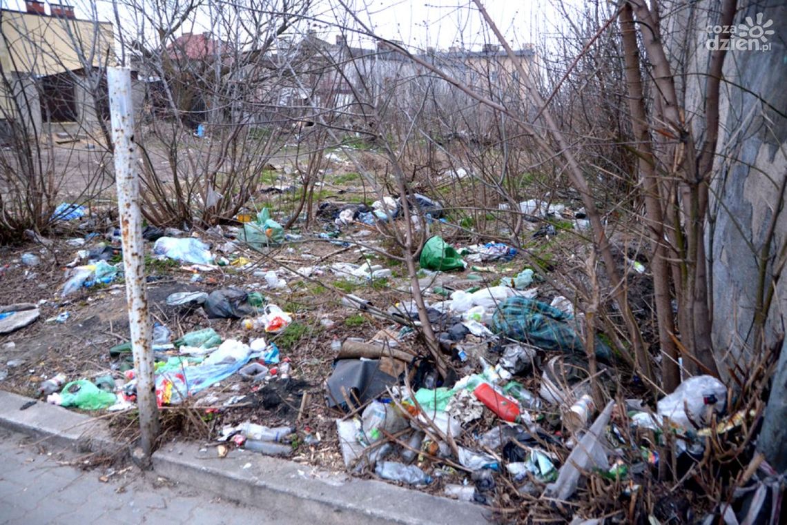 Radom w śmieciach! 120 działek do posprzątania!