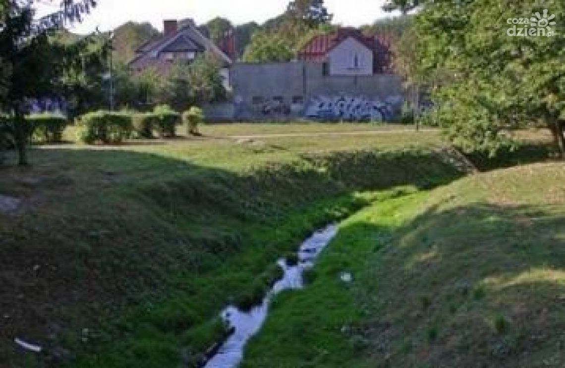 Radom zieloną gąbką. Ruszył Life