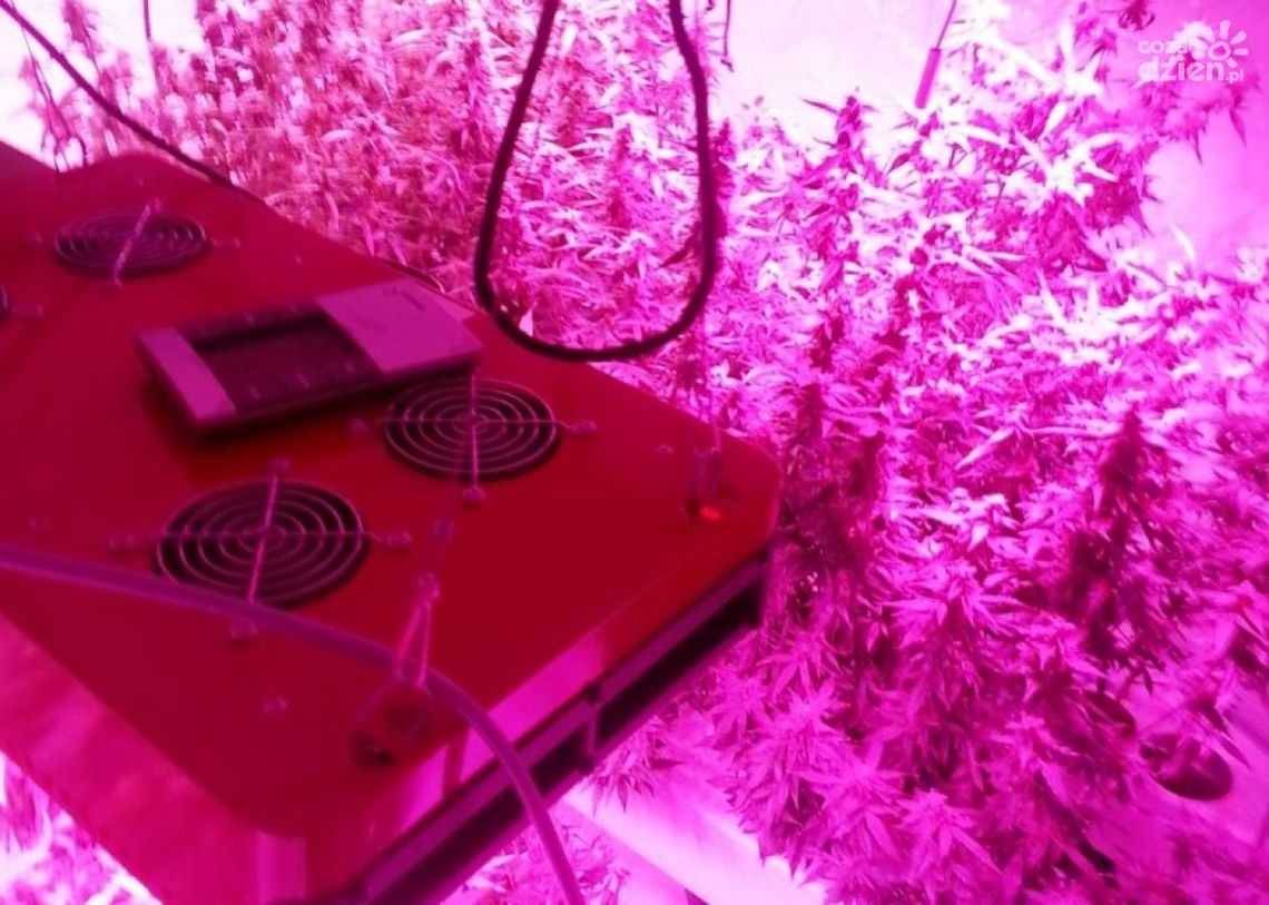 Radomscy policjanci zatrzymują dilerów w Warszawie Radomscy policjanci zatrzymują dilerów w Warszawie