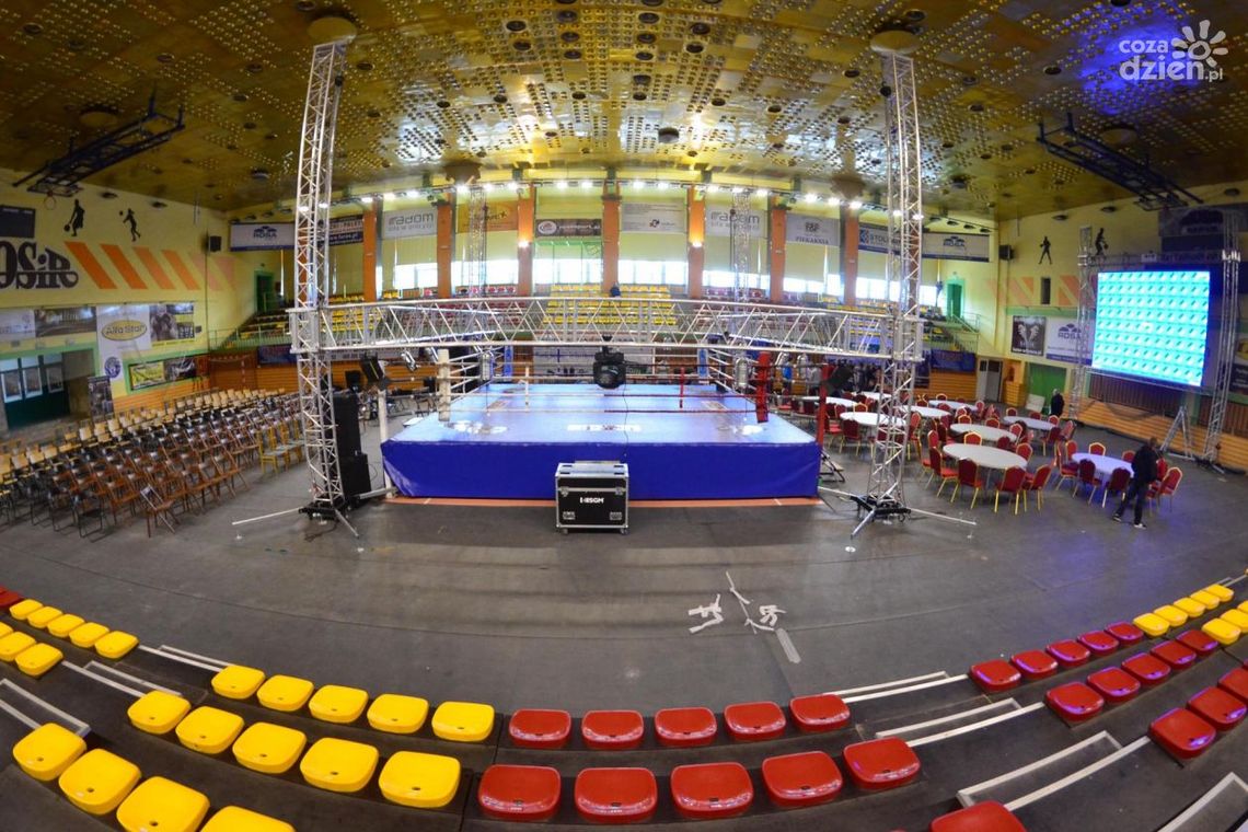 Radomski bokser: Michał Żeromiński Radomski bokser: Michał Żeromiński