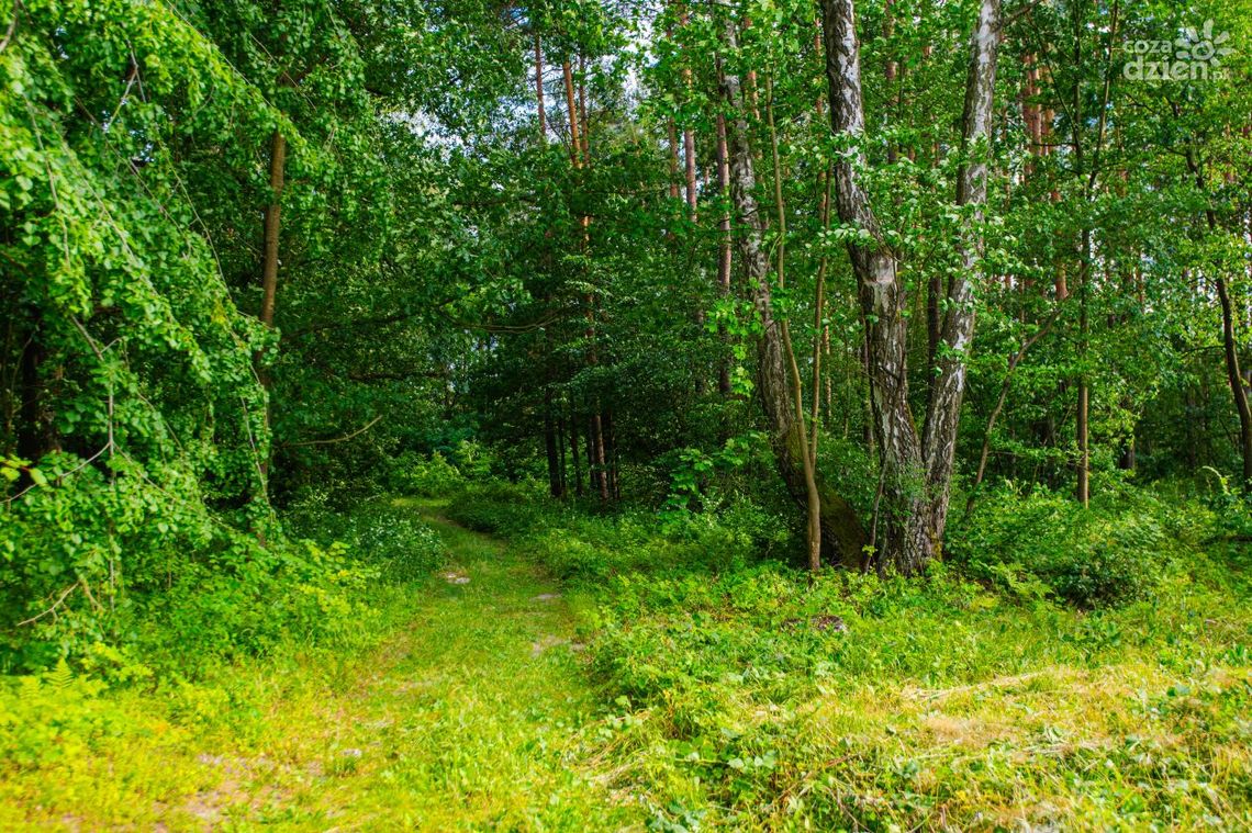 Radomski Festiwal Podróży Małych Radomski Festiwal Podróży Małych