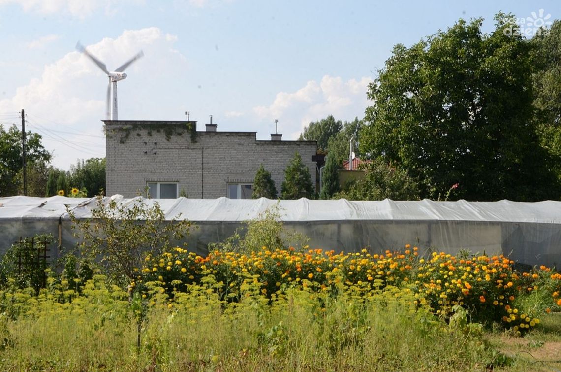 Radomskie dzielnice - Firlej i Wincentów
